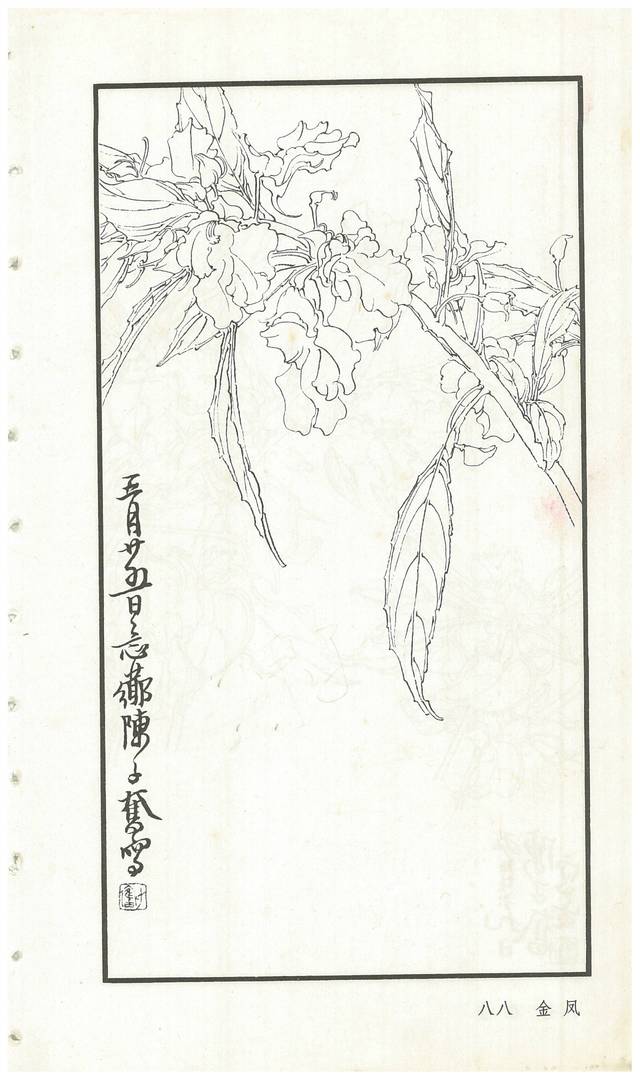 《陈子奋白描花卉册》图赏(多图)