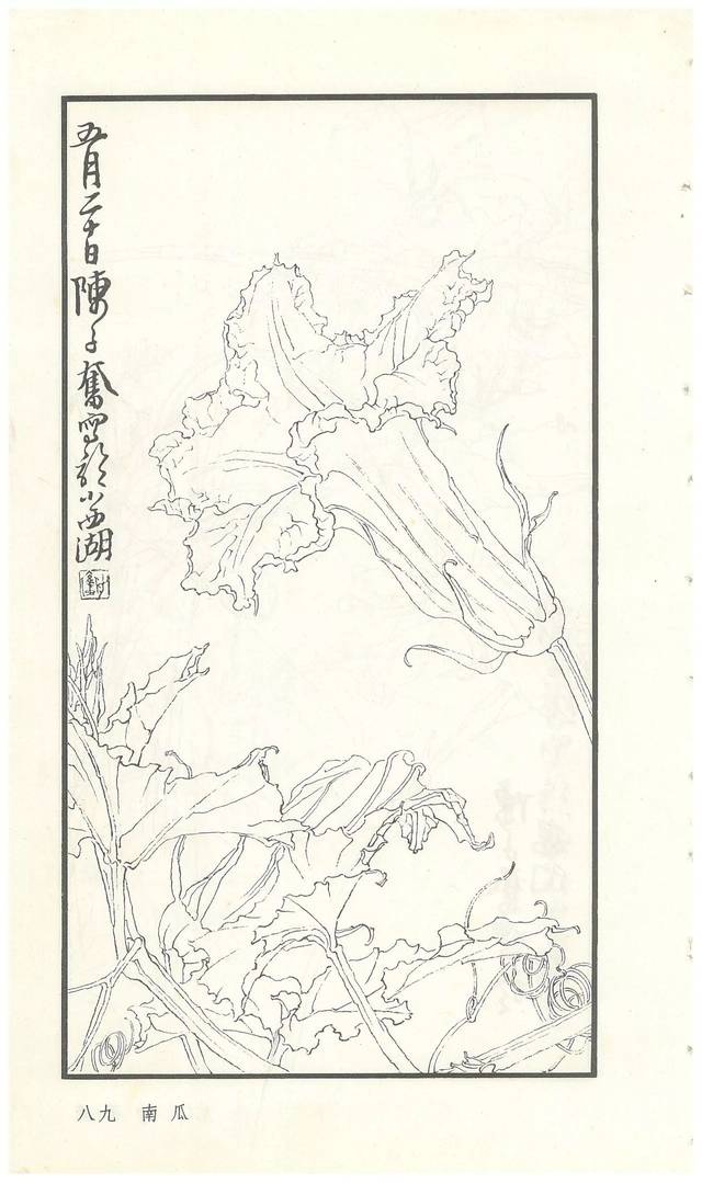 《陈子奋白描花卉册》图赏(多图)