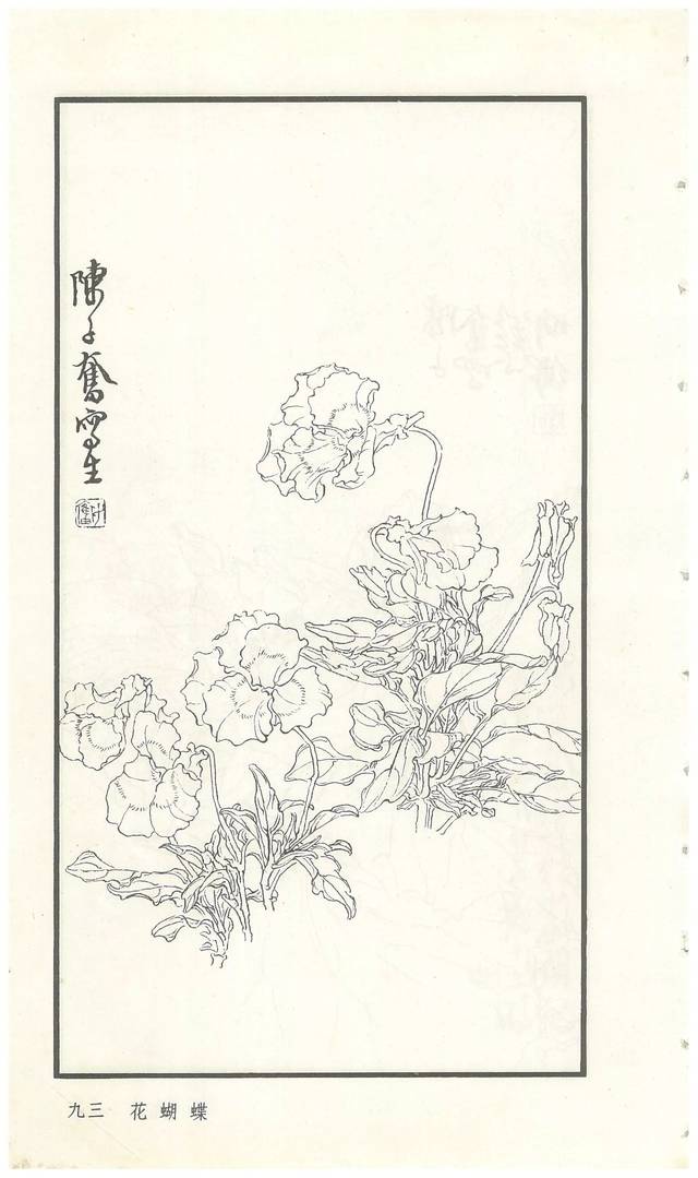 《陈子奋白描花卉册》图赏(多图)