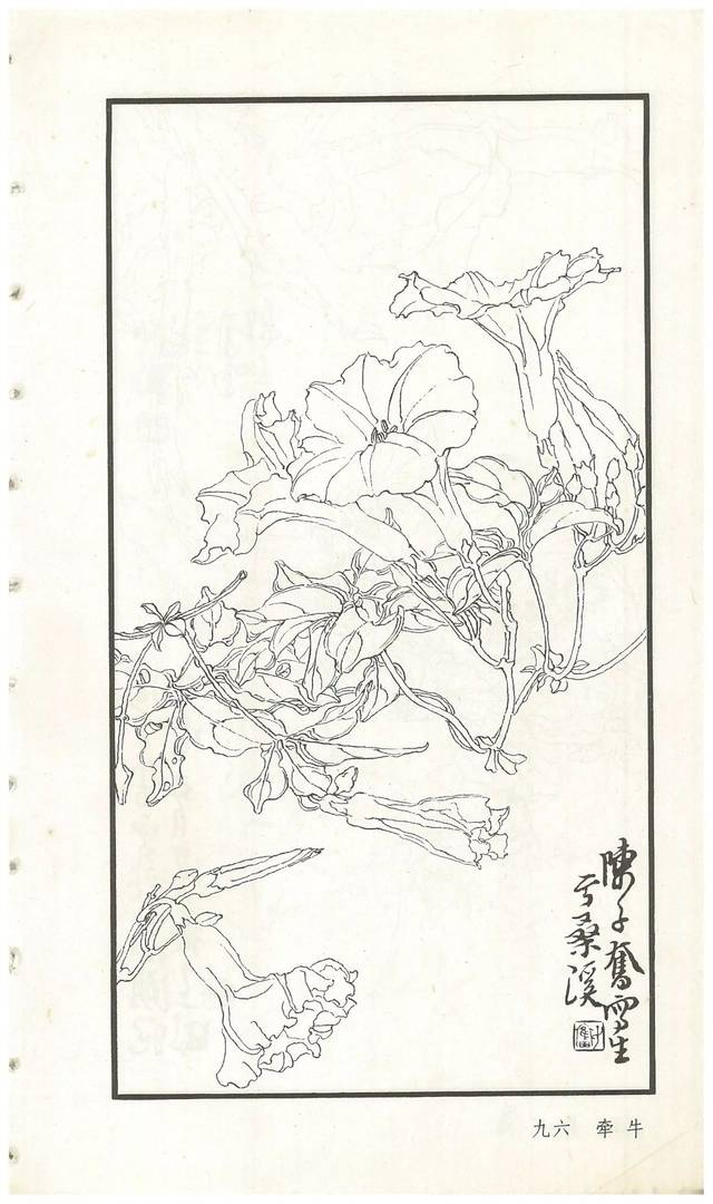 《陈子奋白描花卉册》图赏(多图)