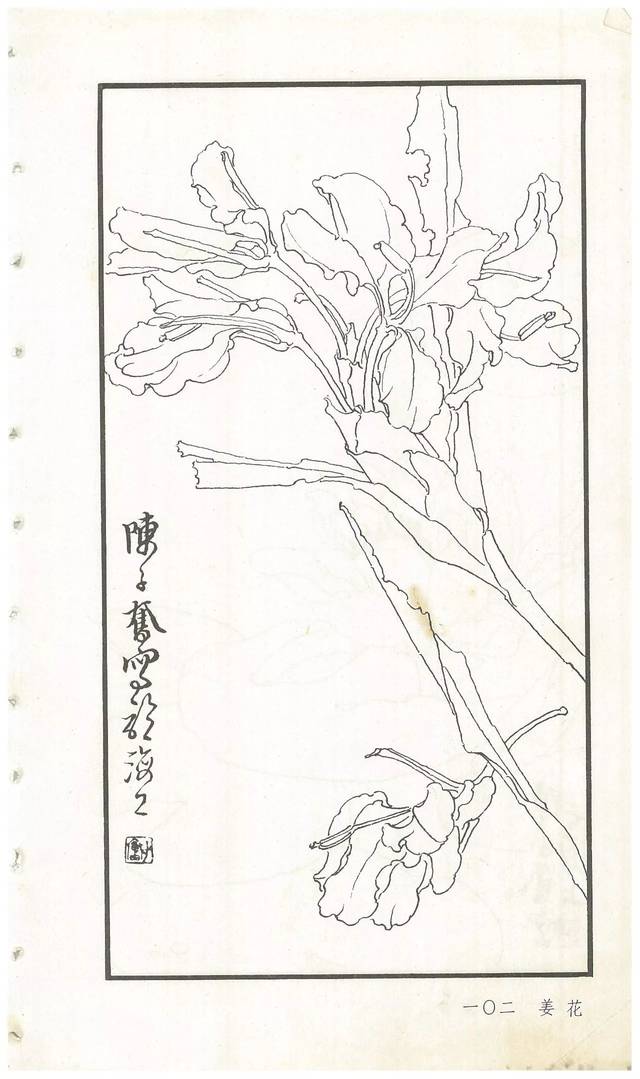 《陈子奋白描花卉册》图赏(多图)