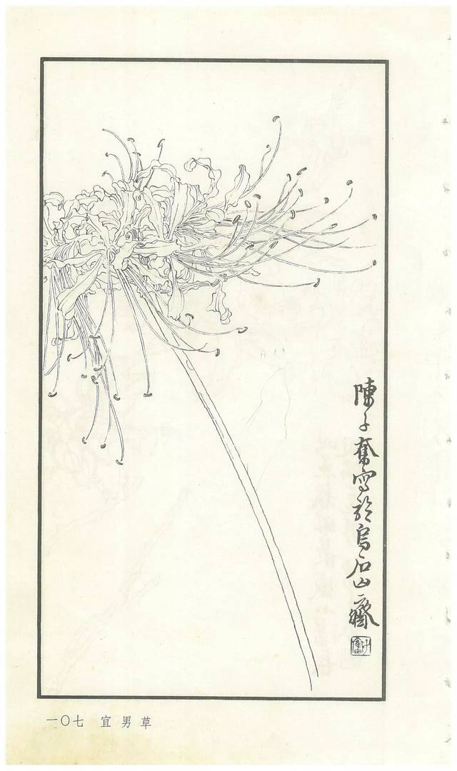 《陈子奋白描花卉册》图赏(多图)