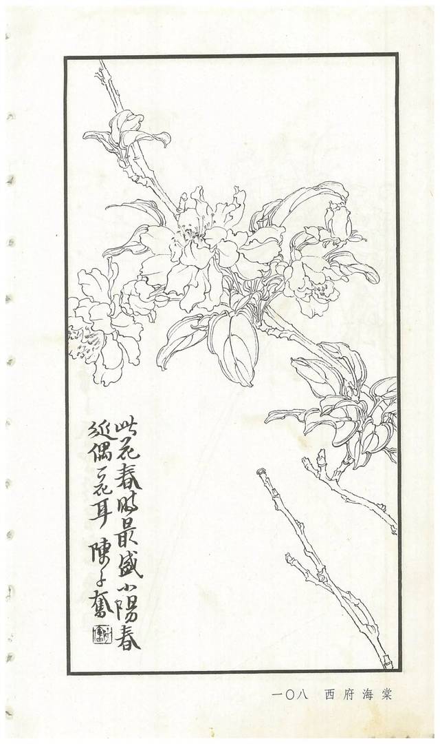 《陈子奋白描花卉册》图赏(多图)