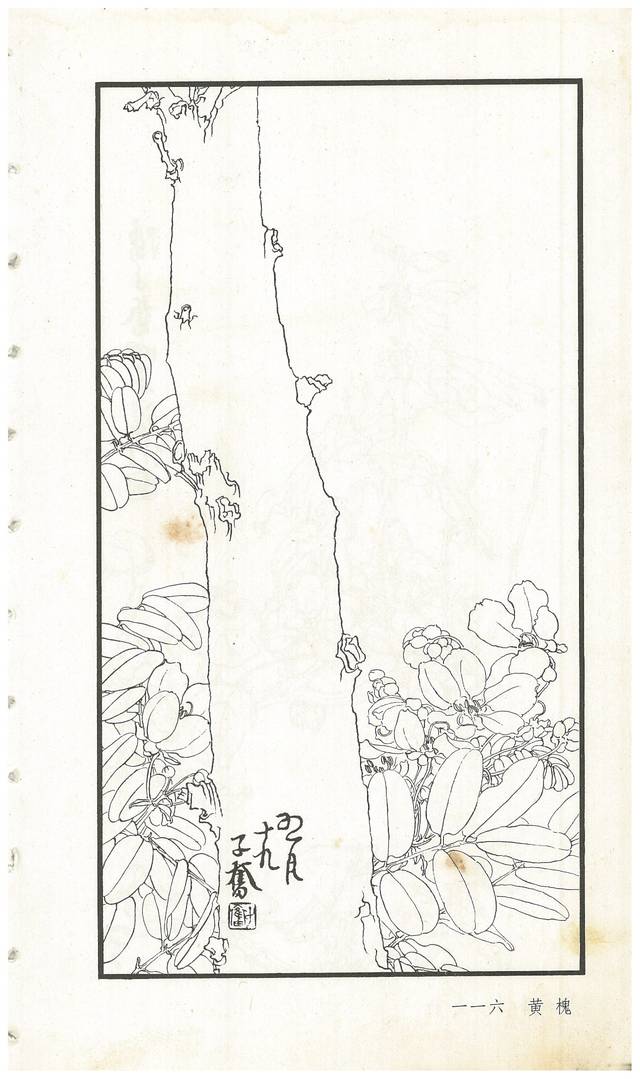 《陈子奋白描花卉册》图赏(多图)