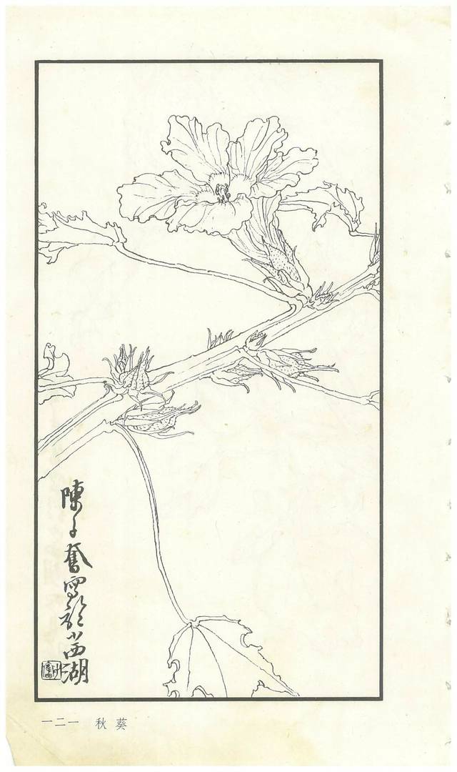 《陈子奋白描花卉册》图赏(多图)