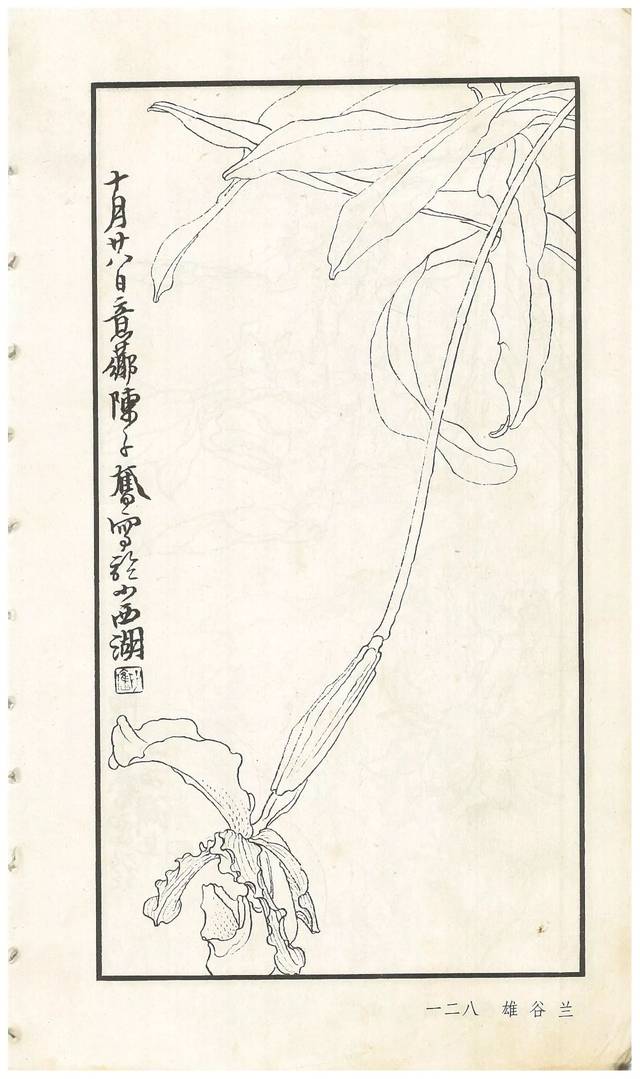 《陈子奋白描花卉册》图赏(多图)