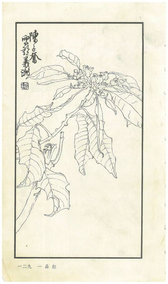 《陈子奋白描花卉册》图赏(多图)