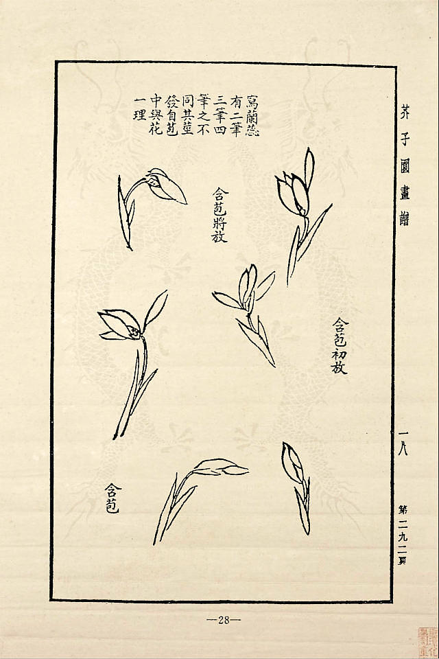 芥子园兰谱菊谱芥子园画谱三四