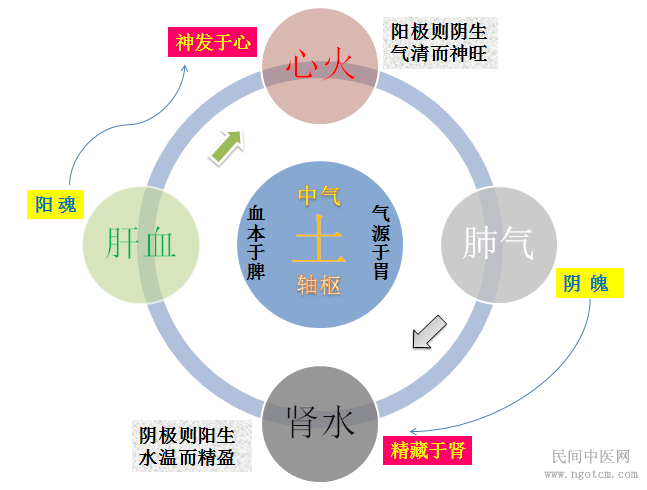 图解四圣心源天人解