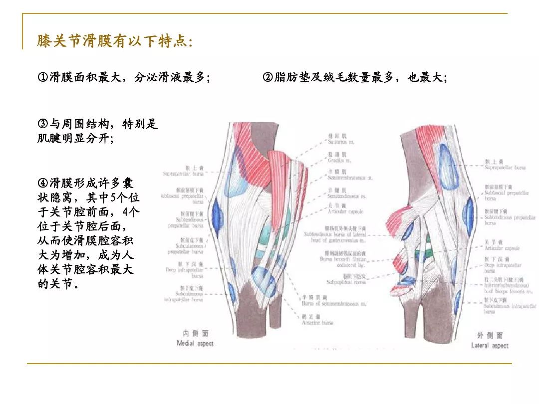 膝关节周围疼痛的针刺和针刀治疗