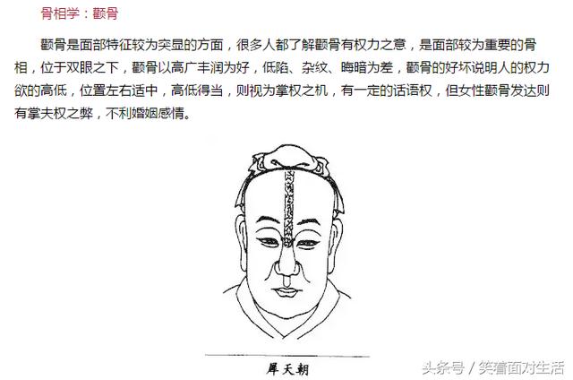 骨相学:巨鳌骨 巨鳌骨是两耳侧隆起,此骨有权贵之相,但属于较为内功