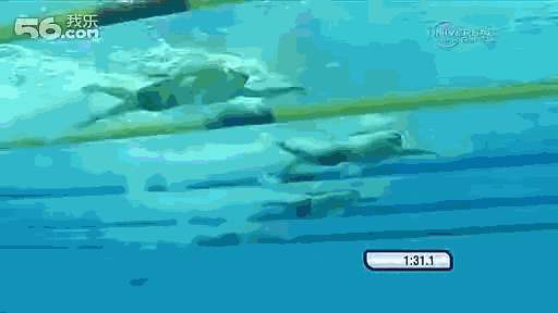 最近我带两个朋友每天中午去游自由泳,都有点底子,不过也只能游个50米