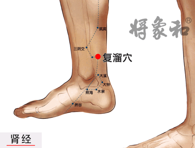 人体自带一颗十全大补药远胜虫草胎盘是生命至宝