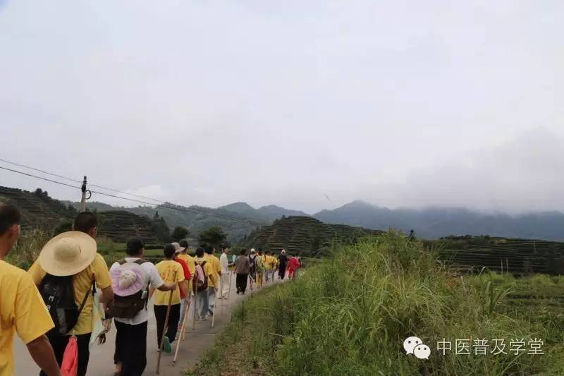 凤阳拾遗草医刘济勇老师讲述6狗脚迹苍耳子攻克几十万都治不好的严重