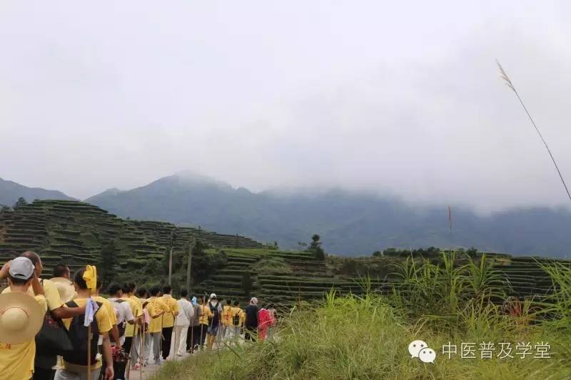 凤阳拾遗草医刘济勇老师讲述6狗脚迹苍耳子攻克几十万都治不好的严重