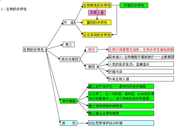 初中生物思维导图