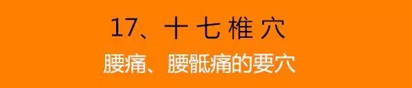位置:十七椎穴位于腰部,在后正中线上,第5腰椎棘突下;先取找到腰阳关