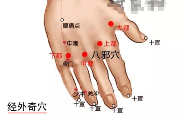 位置:十七椎穴位于腰部,在后正中线上,第5腰椎棘突下;先取找到腰阳关