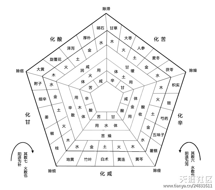 辅行诀解析