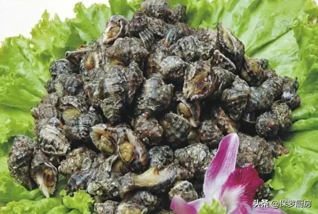 史上最全的"海鲜大全,以后不怕不知什么海鲜,再被老板坑了!