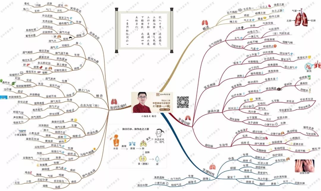 零起点三期中医基础与诊断学思维导图3清晰版