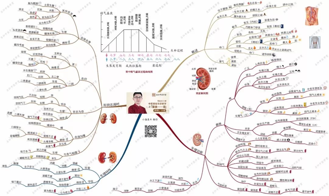 零起点三期中医基础与诊断学思维导图3清晰版