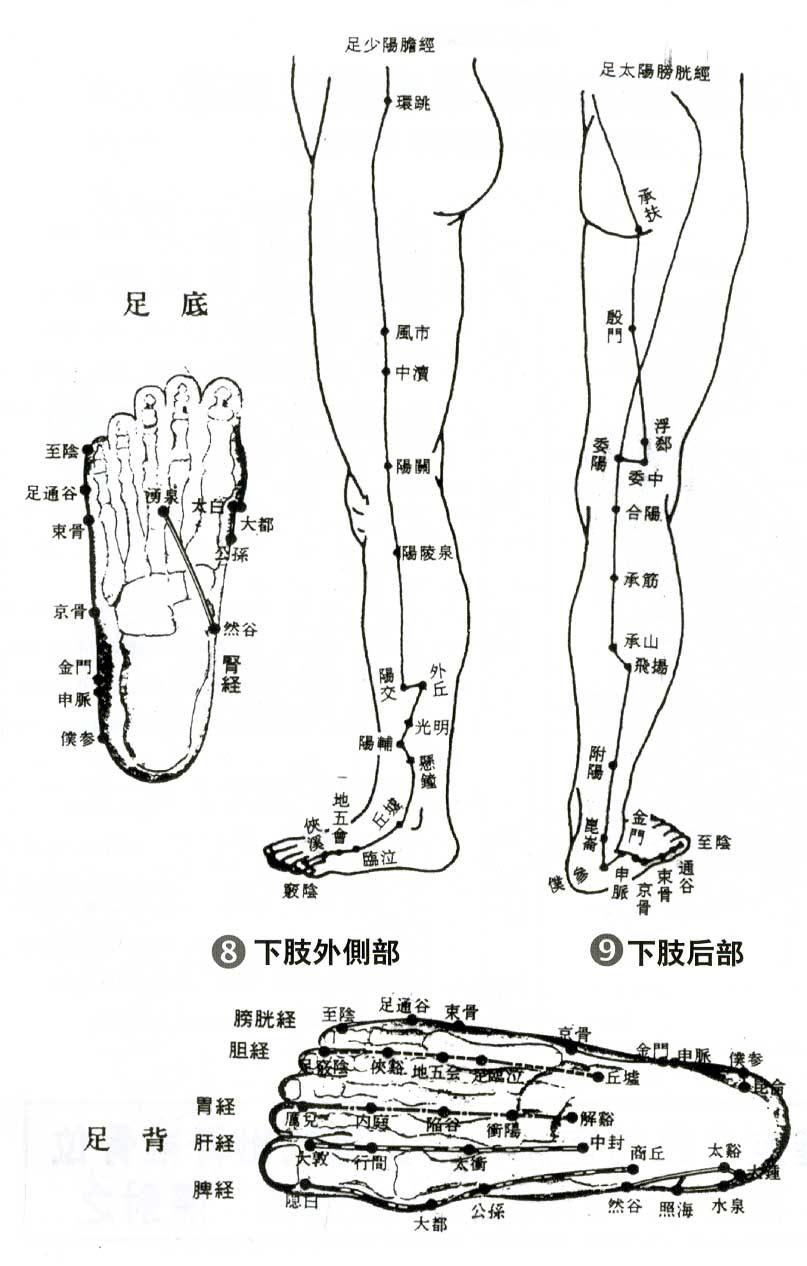 珍品人体穴位功能详图8图