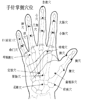 手穴图 手针穴位图
