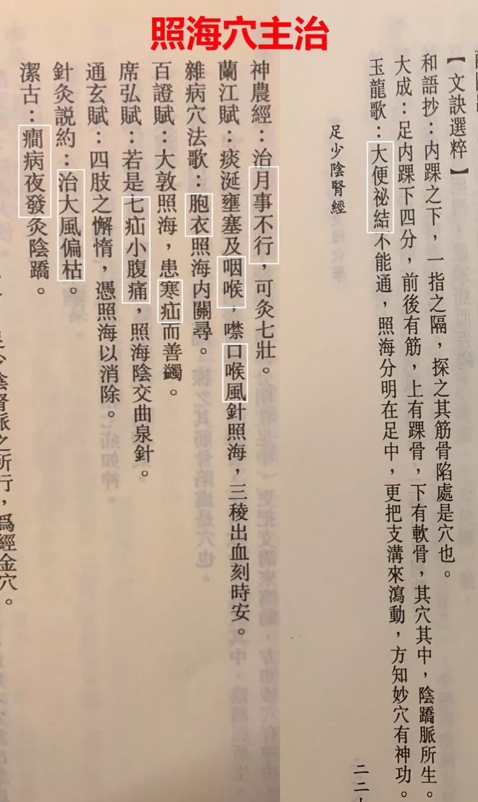 申脉,照海的迷思