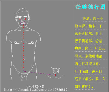 图解奇经八脉循行路线