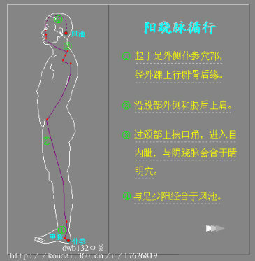 图解奇经八脉循行路线[好网角文章收藏]