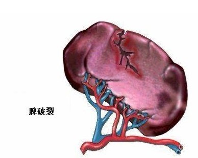 引用脾气虚的各种症状