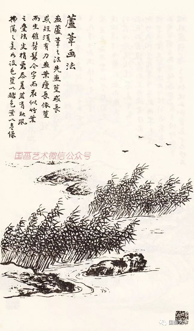 芦草画法未完待续觉得不错,请在下方点