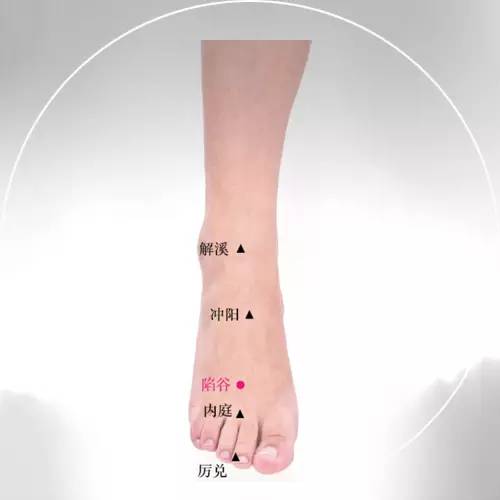 【每日一穴】陷谷穴:小腿浮肿?眼皮肿?别怕!这个穴位