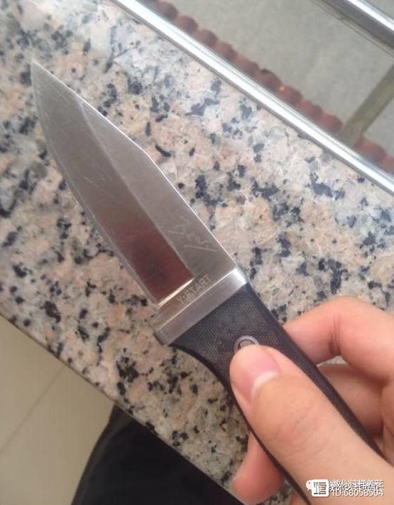 原绿萝蟹爪兰黄叶萎蔫一刀剪成绿瀑布