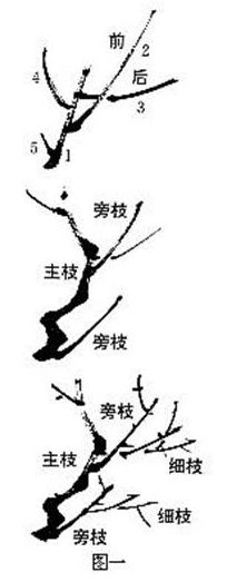 画梅,从何下手,是初学者碰到的第一个问题.