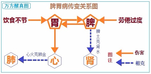 病从脾胃生部分图解文字整理