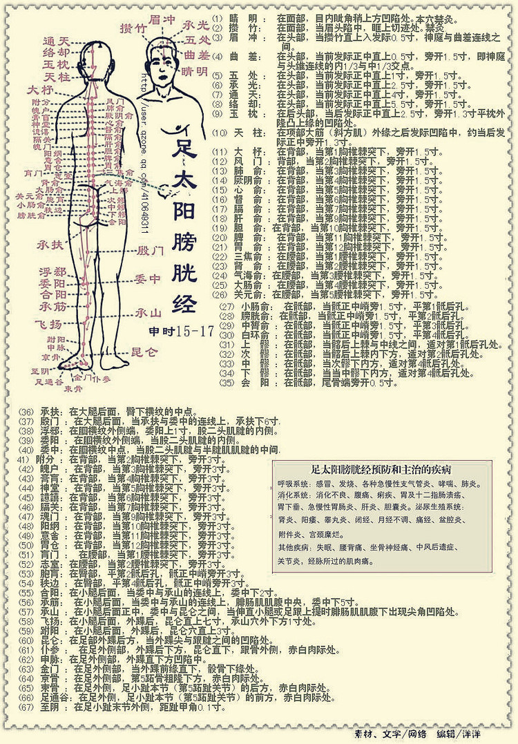 各个人体穴位的具体位置及主治疾病详解