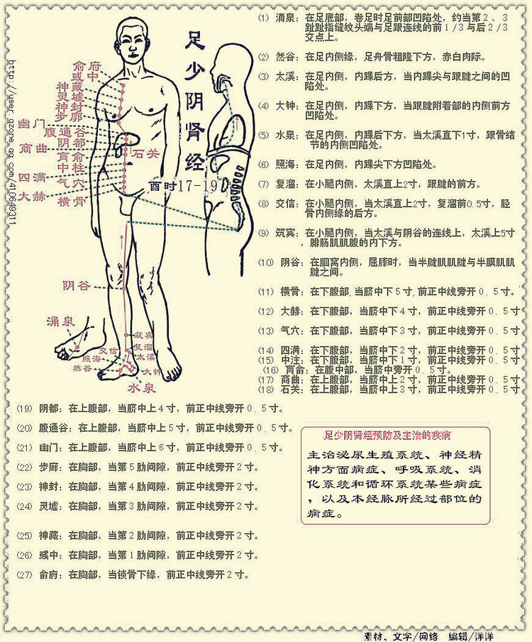 各个人体穴位的具体位置及主治疾病详解