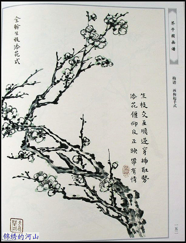 芥子园竹,梅谱(芥子园画谱一,二)