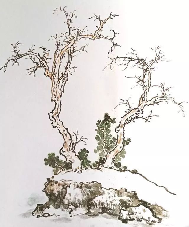 国画技法 树木的画法步骤与作品欣赏