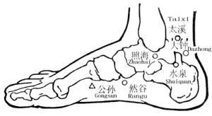 翻及乳痈,便燥难产血昏迷,积块肠风下便红,膈中不快梅核气,格主照海针