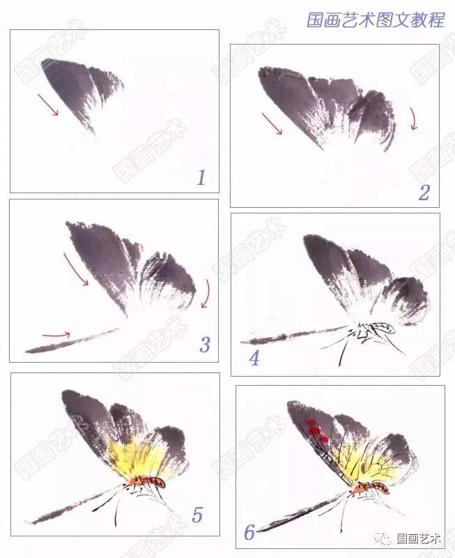 图文教程:写意蝴蝶画法详解