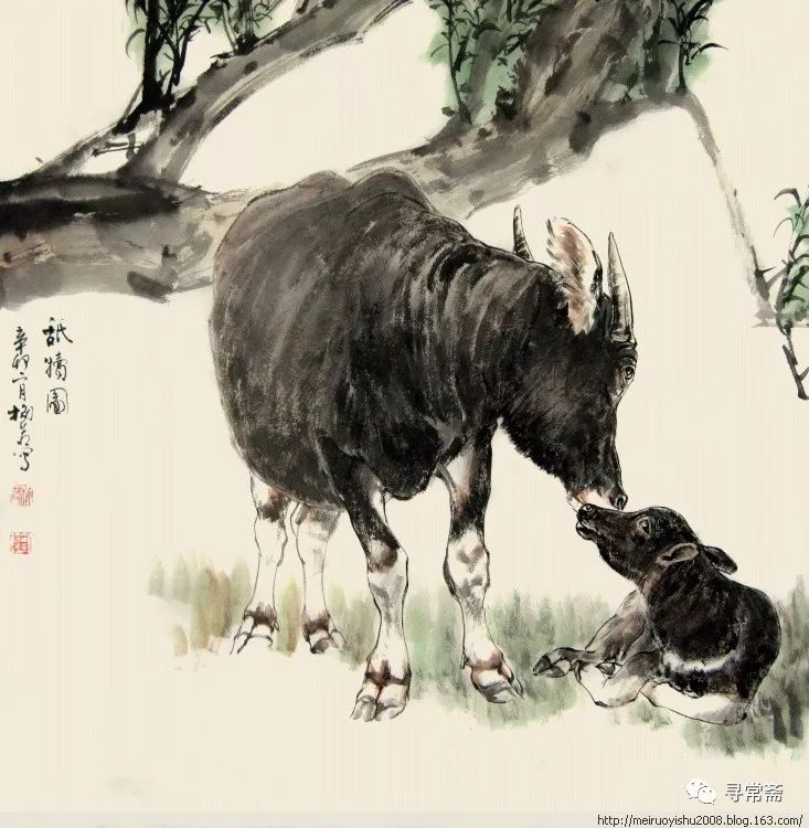 著名画家梅若先生~画牛(上)