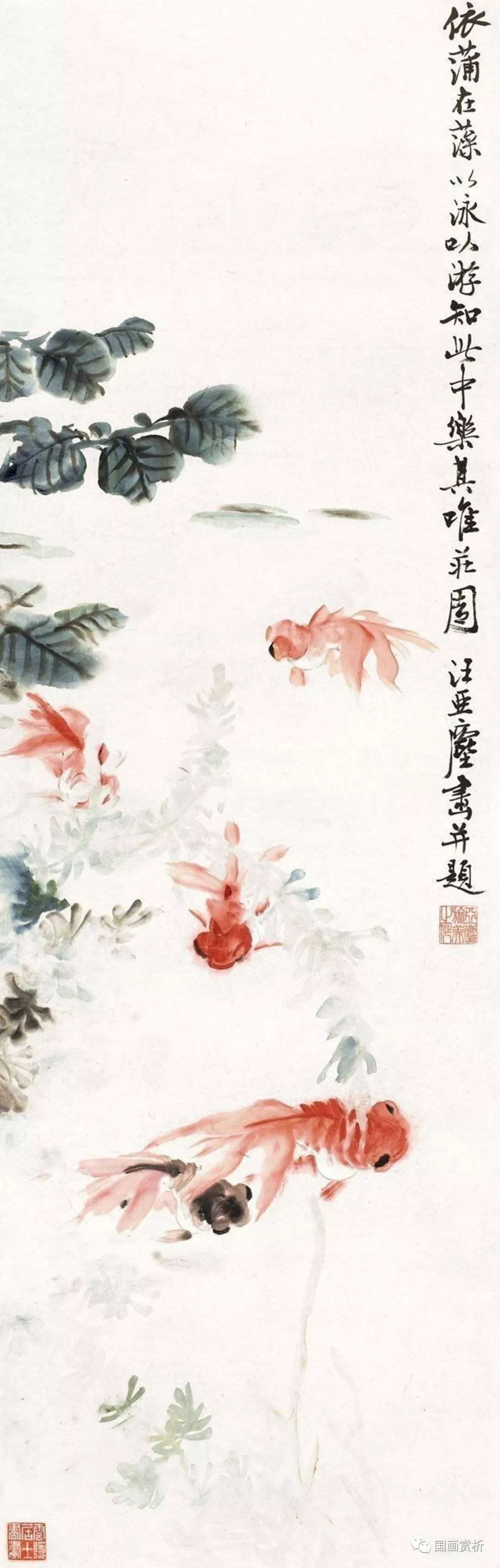 金鱼先生汪亚尘