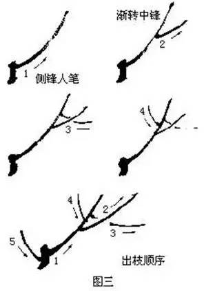 国画教程教你梅花的各种画法