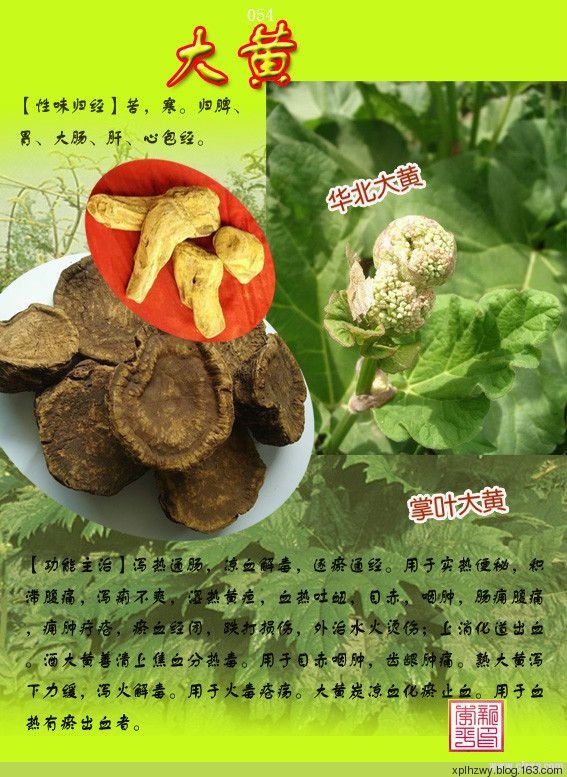 常用中草药300种图谱(六)