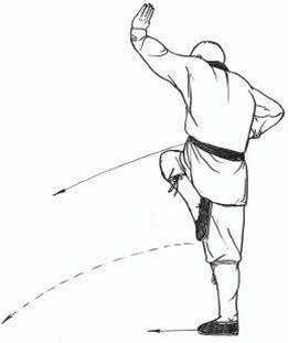 传统武术教学:罗汉拳动态教学