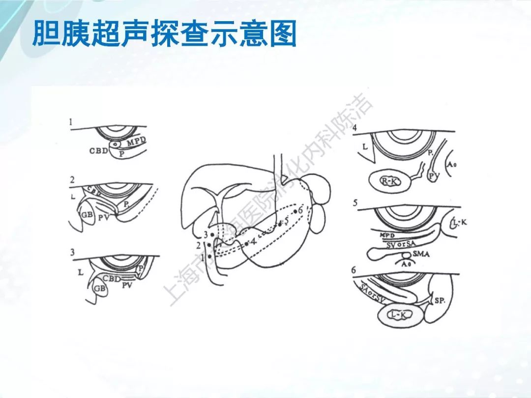 【课程回顾—第九期】陈洁教授主讲:超声内镜的规范化操作
