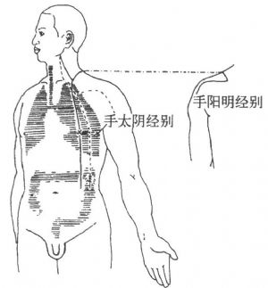 十二经别